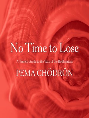 cover image of No Time to Lose